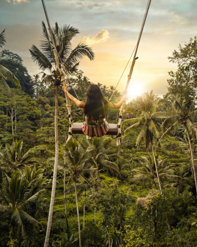 bali ubud Swing