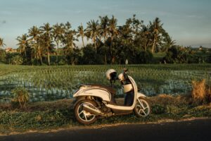 Scooter langs rijstvelden op Bali tijdens een rondreis