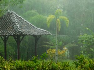 regen en tropische begroeiing Bali